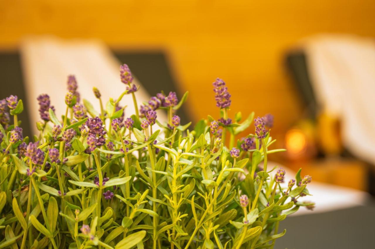 Wellness Mitten In Der Wasserfallstadt Triberg 特里贝格 外观 照片